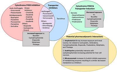 A Guidance for Concomitant Drug Reconciliation Prior to Allogeneic Hematopoietic Cell Transplantation in Children and Young Adults